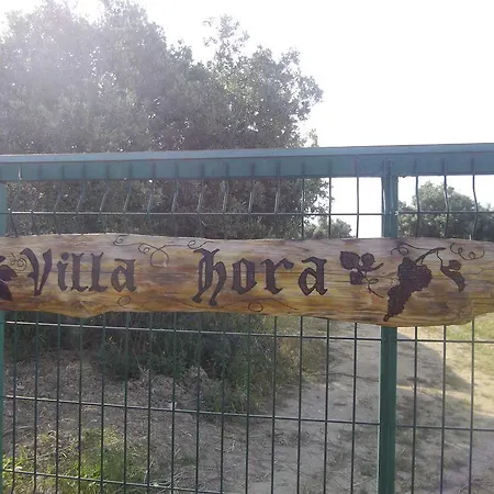 Villa Misafir Evi 