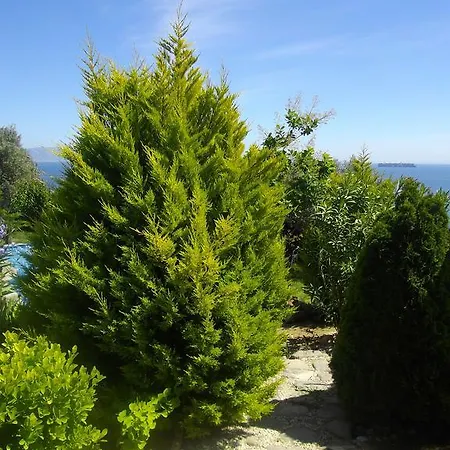 Villa Misafir Evi 