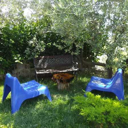 Misafir Evi 