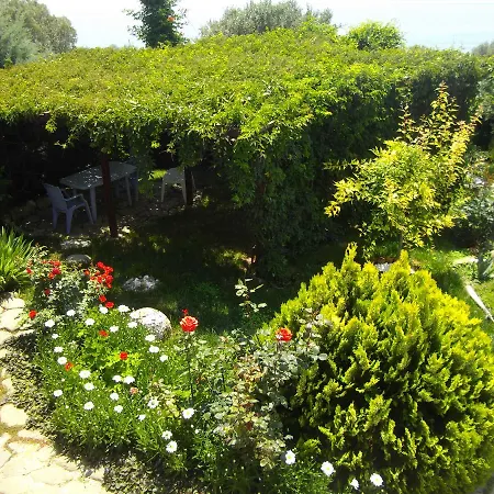 Misafir Evi 
