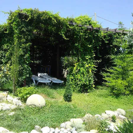 Misafir Evi 